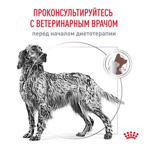 Сухой корм Royal Canin Hepatic для взрослых собак для поддержания функции печени