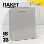 Пакет подарочный 18х23х10см Премиум "Элегант" (Серебряный)