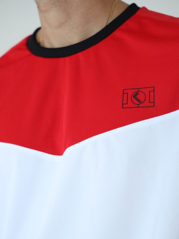 Футболка спортивная двухцветная