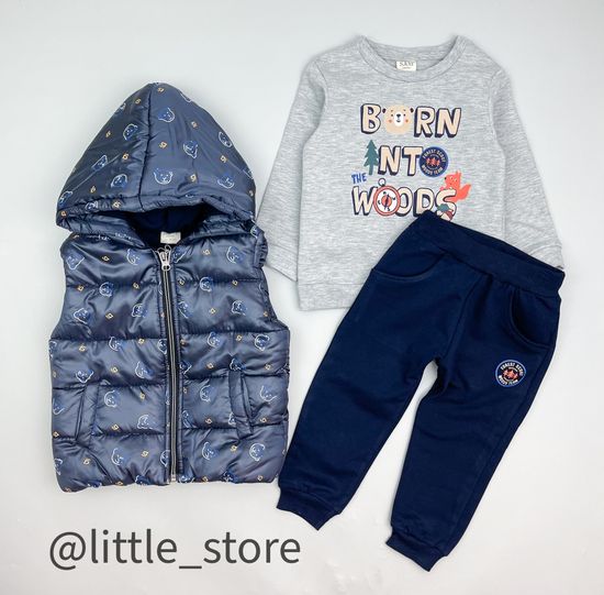 Комплект утепленный "Forest team" синий