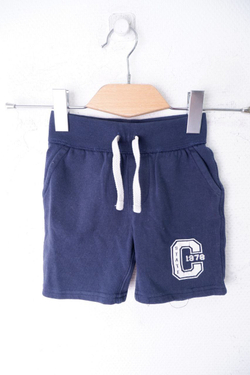 Шорты Rebel на флисе на 2-3 года