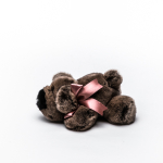 собачка шанель