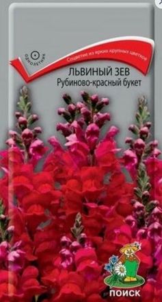 Львиный зев