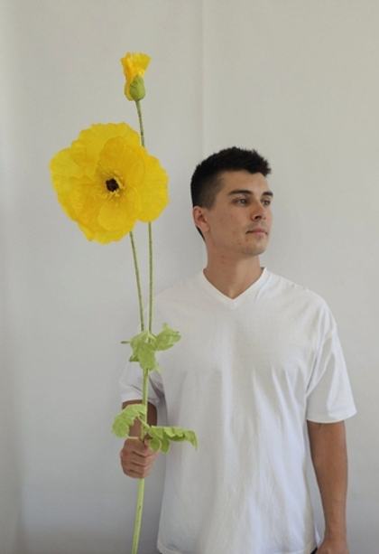 Мак крупный / Арт 2245