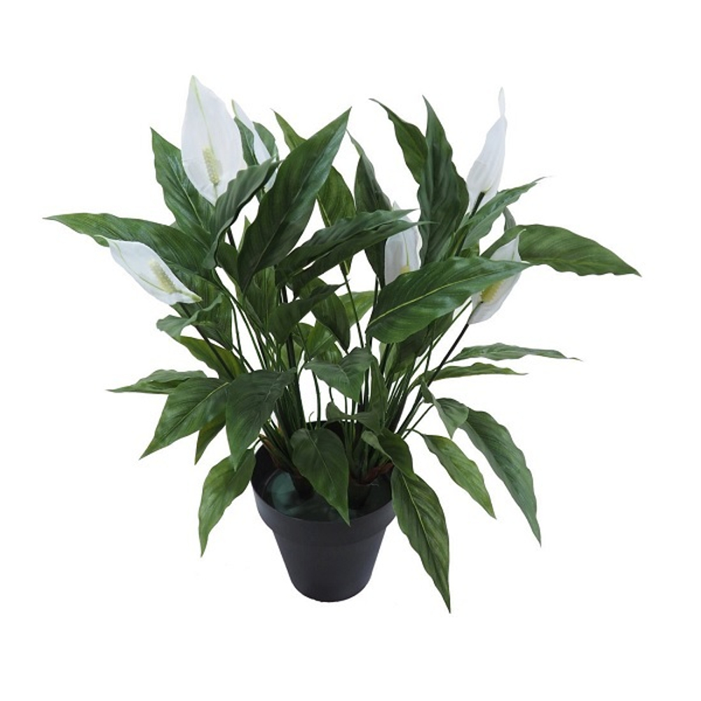 Спатифиллум 60 см [Арт. 2920850В]
