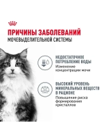 Влажный корм для кошек, в соусе 28х85гр