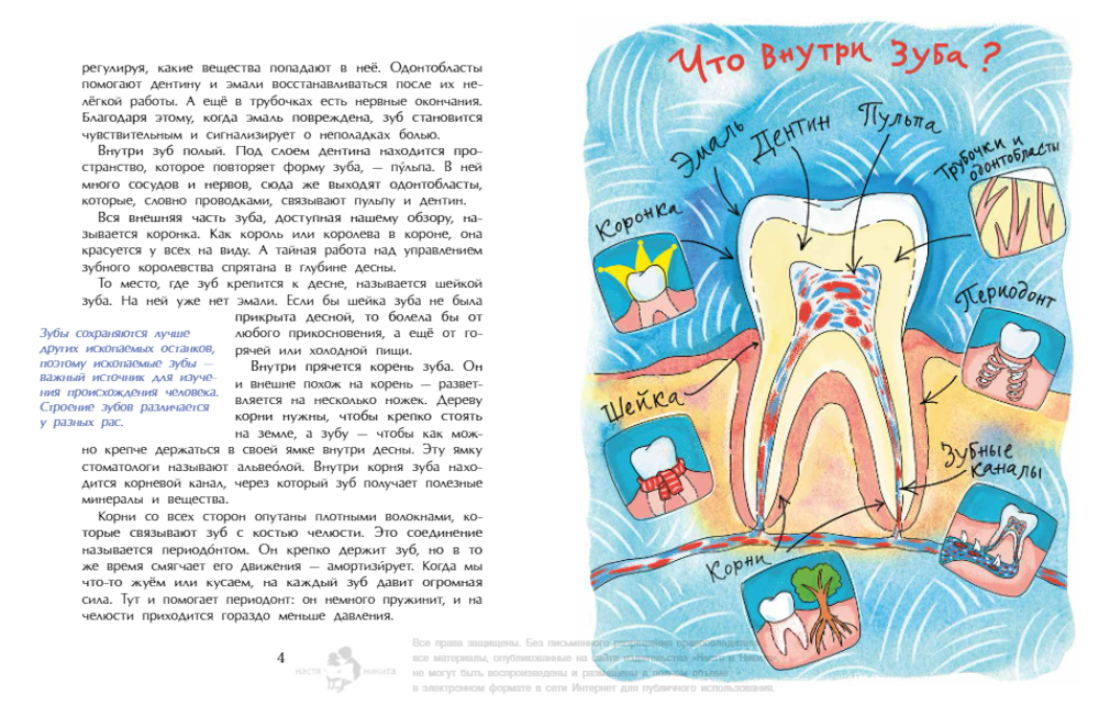 Зубная книжка