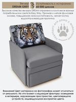 Кресло-кровать "Миник" с подлокотниками Dream Grey купон Тигр