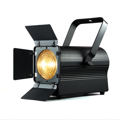 100W WW Fresnel Light With Manual Zoom