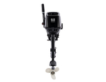 2х-тактный лодочный мотор PARSUN T9.8BMS