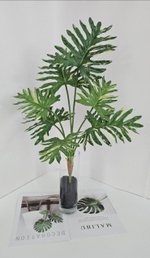 Филодендрон / Арт 6369