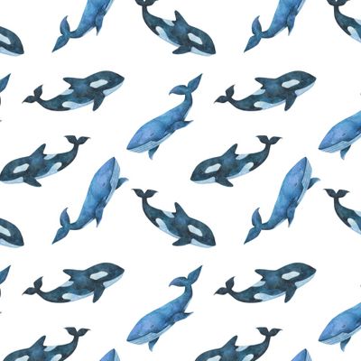 Киты и касатки на белом фоне