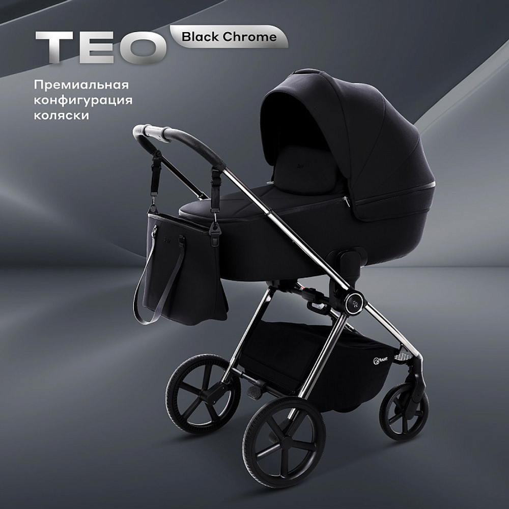 Детская коляска Rant Teo Black Chrome 2 в 1 Black