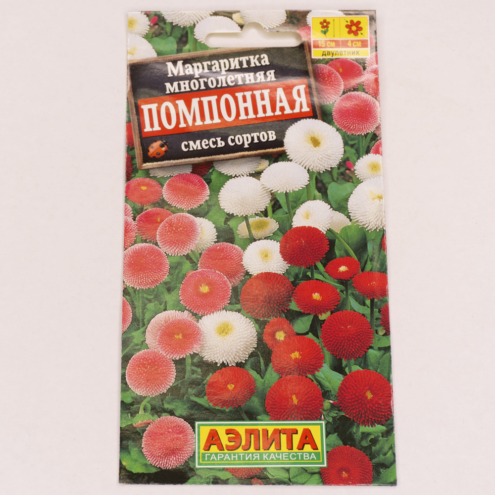 Семена Маргаритка помпонная смесь