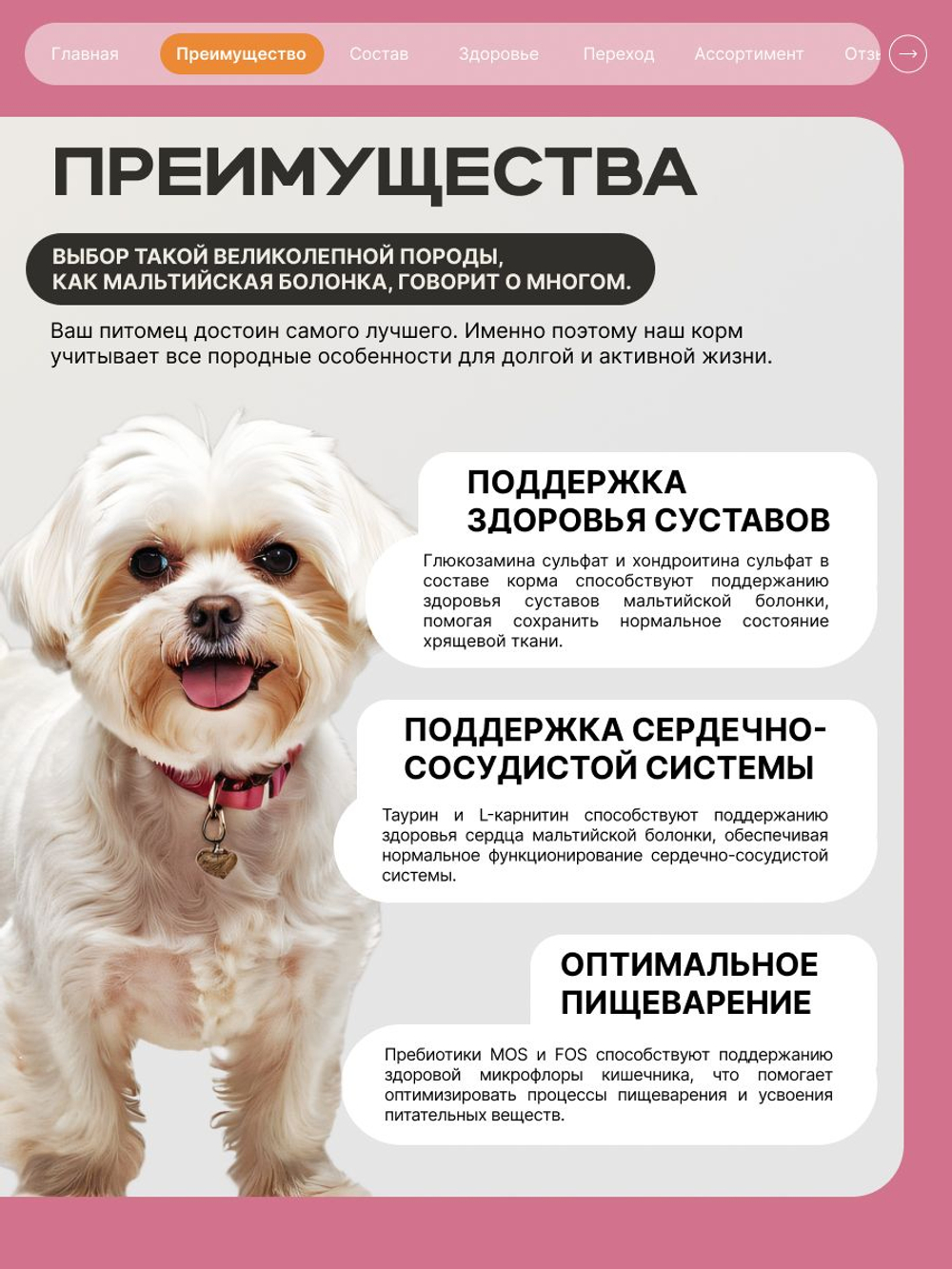 Корм сухой для взрослых собак породы Мальтийская болонка, с индейкой, 2,5 кг, QUATTRO