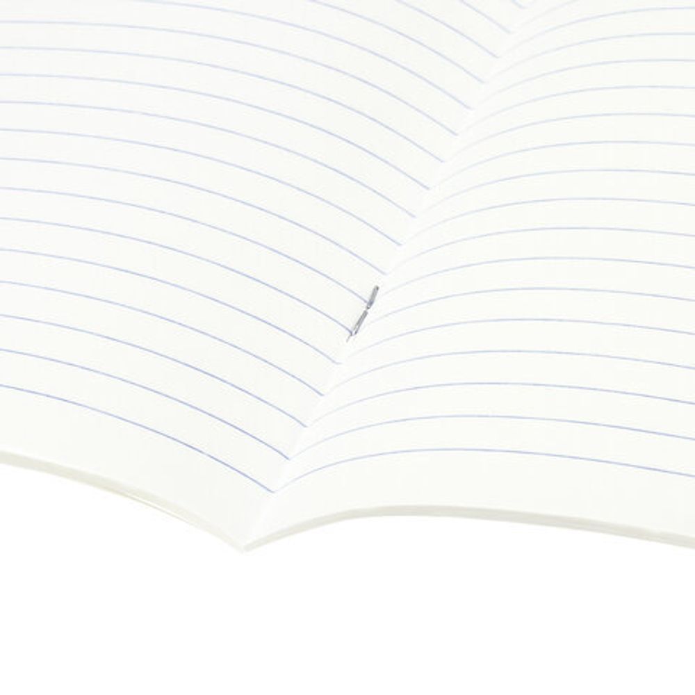 Тетради предметные, КОМПЛЕКТ 10 ПРЕДМЕТОВ, КЛАССИКА, 48 листов, BRAUBERG, 403559