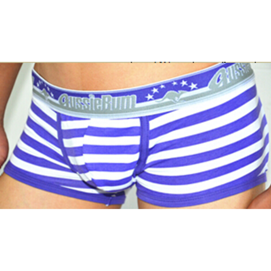 Мужские трусы хипсы фиолетовые Aussiebum Purple Boxer