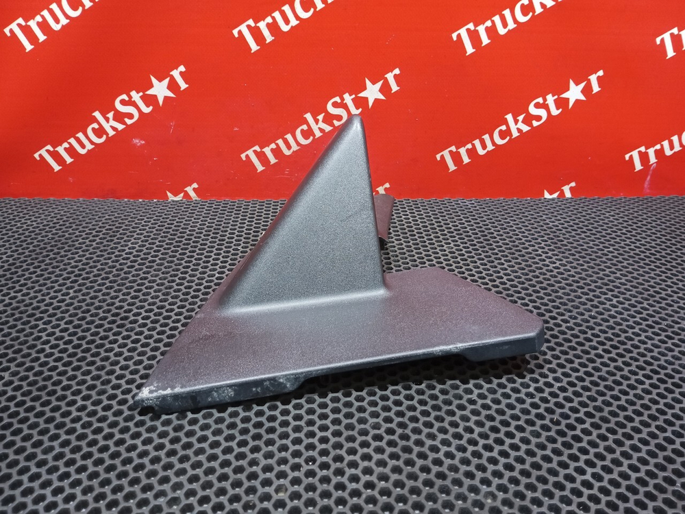 Накладка зеркала правого 2019г