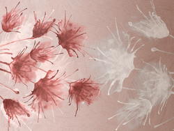 Коллекция AZURE