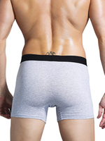 Классические боксеры