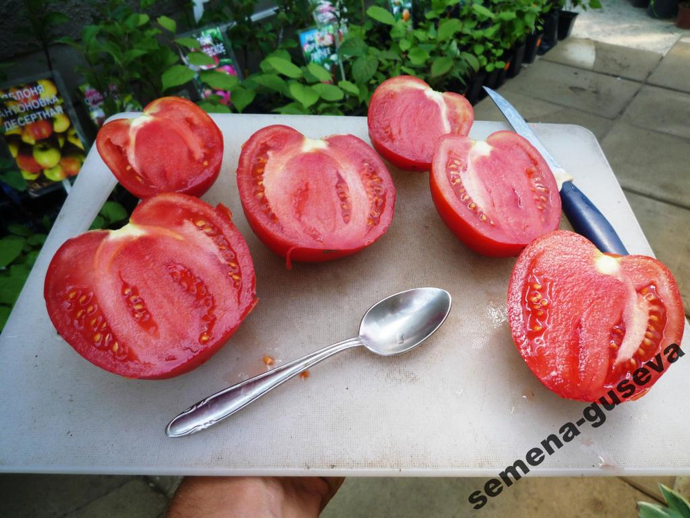 Помидоры Реликвия из Уссурийска