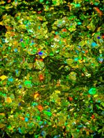 Хлопья - слюда 88812 - Лесной янтарь голографик - для литья изделий и творчества