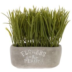 GAEM Цветочная композиция "Осока", L14 W7,5 H16 см