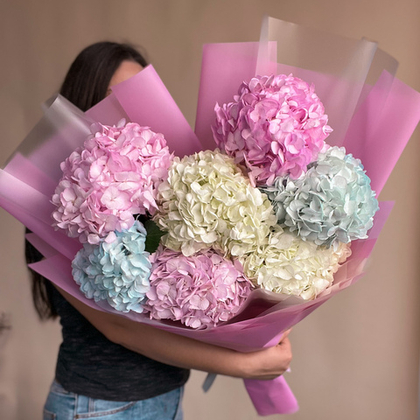 Разноцветные гортензии 7 шт