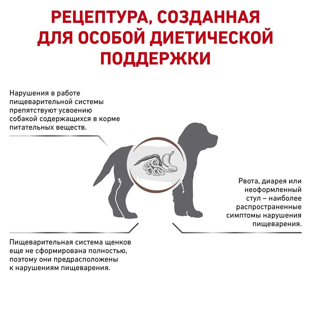 Royal Canin VET Gastro Intestinal Puppy - диета для щенков с проблемами ЖКТ