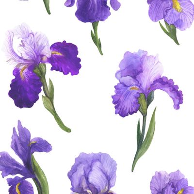 Акварельные весенние цветы на белом фоне