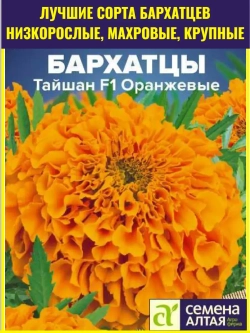 Семена цветов бархатцев Тайшан F1 Оранжевые 5 шт