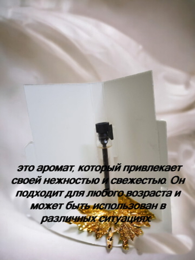 Парфюмерная вода унисекс СвеТLана Mr.Newl C&M070-13 1.7 мл