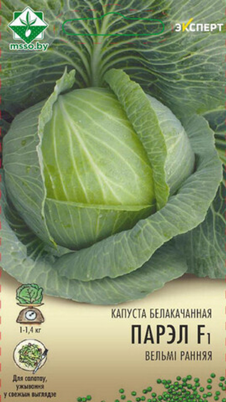 Капуста б/к "Парел F1" 12шт, Нидерланды.
