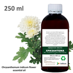 Эфирное масло хризантемы / Chrysanthemum indicum flower essential oil