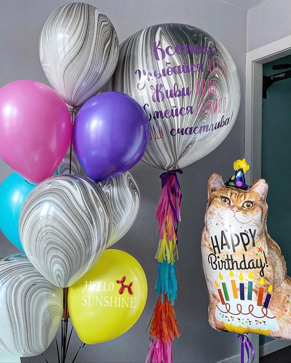 Набор шаров Счастливый котик