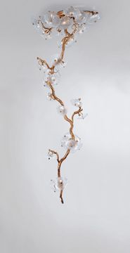 Nenufar Bonsai by Serip