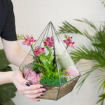 Готовый флорариум с лиловой орхидеей Алмаз