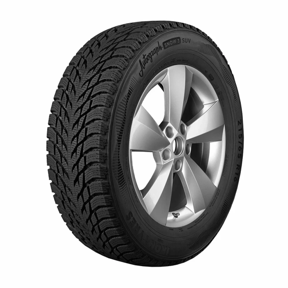 Зимняя шина Ikon Tyres Autograph Snow 3 (275/35 R20 102T)