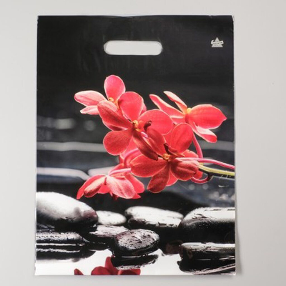 Пакет 40*31см (60мк) с вырубной укрепл. ручкой "Гармония" Ламинат