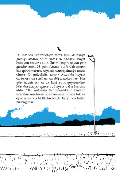 Bir milçəyin tərcümeyi-halı