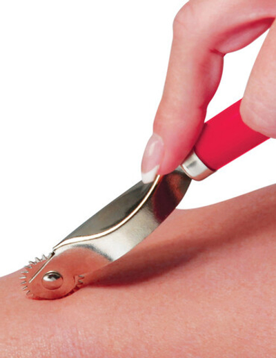 Колесо Вартенберга Fetish Fantasy Series Wartenberg Wheel (Цвет: черный с серебряным)