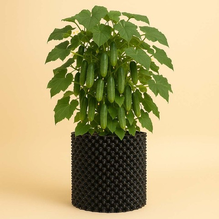 Горшок с перфорацией AERO PRUNING POT 100 л