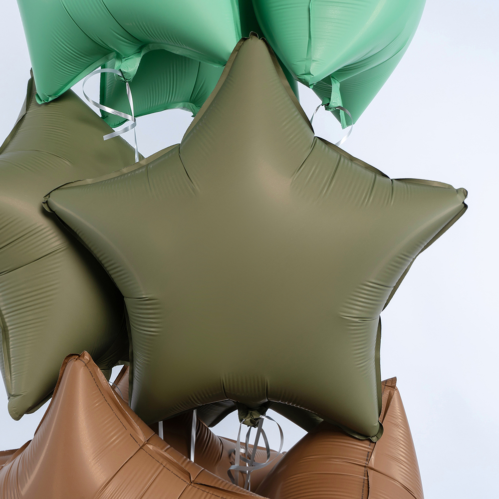 Звезда 18" Оливковый, Матовый Fm