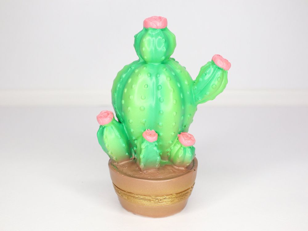 Копилка "Кактус" 10х13х22см   4849261