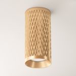 Потолочный светильник Technical C036CL-01G