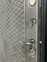 Дверь входная Торино