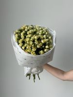 Букет моно из кустовых роз 15 шт в светло-желтом оттенке