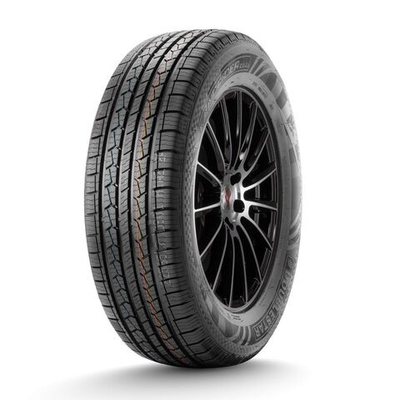 ДаблСтар  225/60/17  H 99 DS01