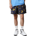 Шорты Nike, DR5736-437