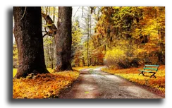 Постер "Осенняя тропа"